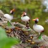Decorative Potted Plant Ornaments Resin Red-Crowned Bird Figurines, Realistic Statues with Rock Base, Mini Landscape Micro for Tea Table Rockery Fish