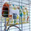 Warm Bird Nest Bed Hammock House Perch for Parrot Parakeet Finch Canary Cage