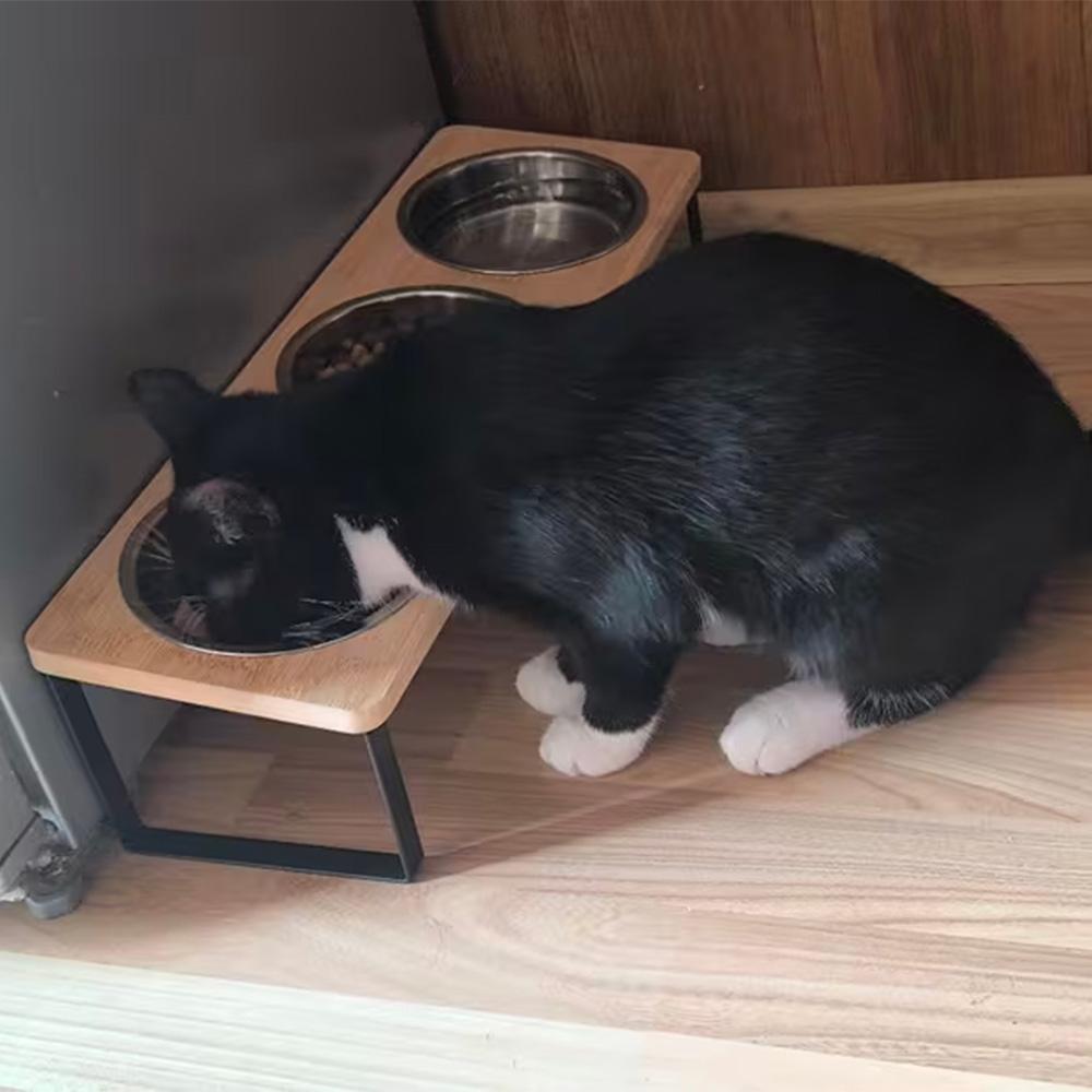 Elevated Cat Bowls 15° Tilted Raised Pet Feeder with 3 Stainless Steel Bowls Food Water Feeding Station for Cats & Small Dogs