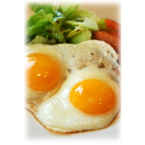 Toyo Ceramics Arita Ware Soy Sauce Spray Bottle Mount Fuji (Red)