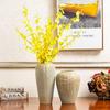 Caiyi Ceramic Bubble Glaze Vase