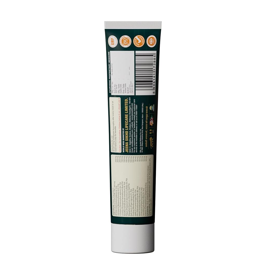 Jeena Sikho Dant Shuddhi Paste Herbal Toothpaste Pack Of 3 Teeth Gums Plaque Care Fresh Breath Whole Mouth 100 G