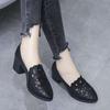 Single Shoes Female Real Soft Leather 2025 New Hollow Breathable Embroidery Four Seasons Women's Mother Shoes Thick Heel Soft Sole Work Shoes