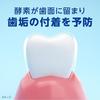 [.co.jp Exclusive] [Bulk Purchase of 2] Clinica PRO All-in-One Toothpaste, Fresh Clean Mint, 95g X 2