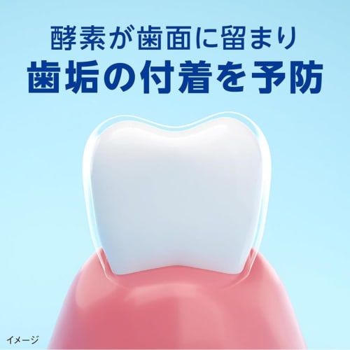 [.co.jp Exclusive] [Bulk Purchase of 2] Clinica PRO All-in-One Toothpaste, Fresh Clean Mint, 95g X 2