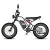 Electric Bicycle Fafrees F20 Ultra 20" Fat Tire 750W Motor Dual Hydraulic Brake 48V 25AH All Terrain Adult Electric Bike 7 Speed