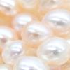 Tiffany & Co - Torsade torsade pearlNecklace Silver925/Pearl Array