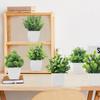 Lavender Eucalyptus Plant Simulation Potted Plant Good Material