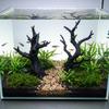 2pcs 3D Printed Reptile Cave Hollow Out Feeding Box Decoration Reptile Climbing Shelter  Gecko