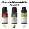 Ananta Clear Mind Essential Oil Combo – Frankincense, Peppermint & Rosemary Aroma Oils (10 Ml × 3)