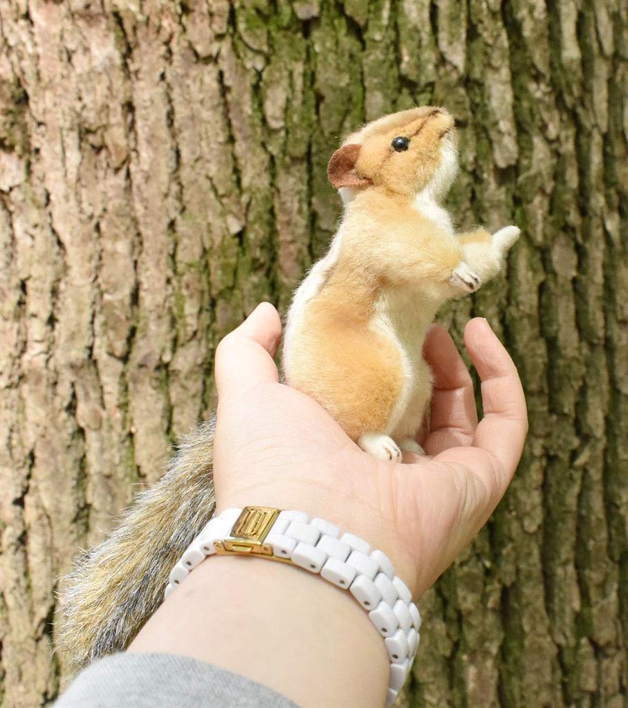 BH4832 HANSA Chipmunk 12