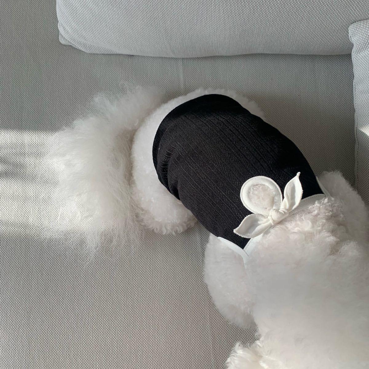 

Весна/лето Тонкая одежда для собак Майка-топ для кошек Плюшевые мишки йоркширский терьер для маленьких собак с бантом для домашних животных Дышащая одежда для щенков XL чёрный