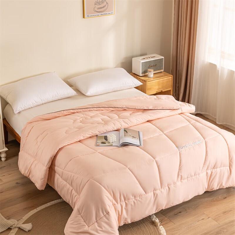 Shuibai Embroidered Thick Winter Polyester Quilt