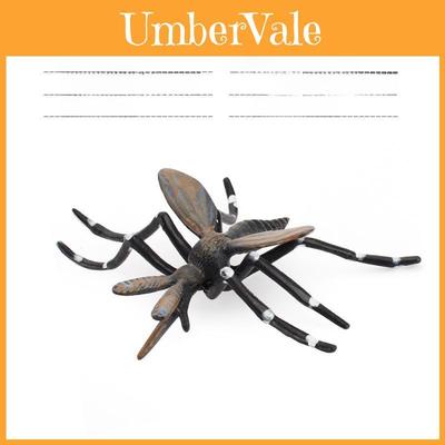 Insect Educational Toy Set With Wasps Ants Crickets Models For Kids Science Learning