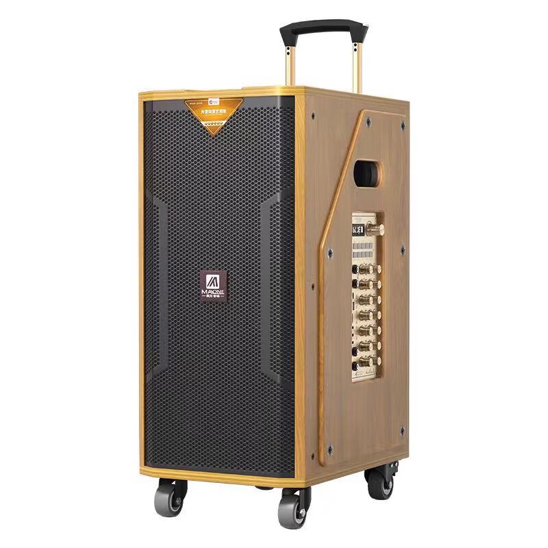 MALONE M-8810 High-Power Portable Karaoke Trolley Speaker CN Plug (adapter Included) (CN Version)