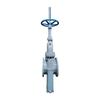 Lanyuxinglin Slab Gate Valve