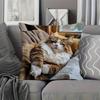 2D flat- Cozy Sleeping Fluffy Tabby Cat Throw Pillow Cover Warm Home Decor Cushion Case for Sofa Bedroom