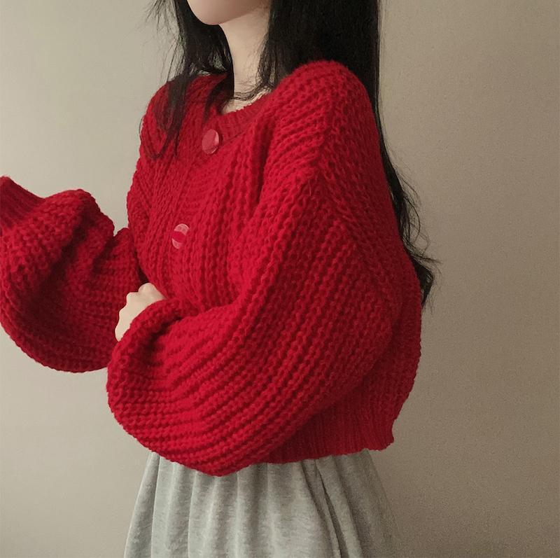 Autumn and Winter Cashmere Sweater Women's Self-Cultivation Half High Neck Cardigan Warm Knitted Sweater Women