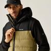 Regatta Herren Aldthorn Bodywarmer