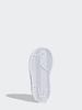 Adidas Shoes - SUPERSTAR CF - Shell Head Shoe - Adidas Clover EF4842