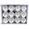 SSK Hard Baseball Practice Balls 1 Dozen (12 Count) GD85D Royal Blue