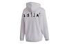 adidas Sweatshirts Men's Honor Purple Hooded Moderate Regular GD9306