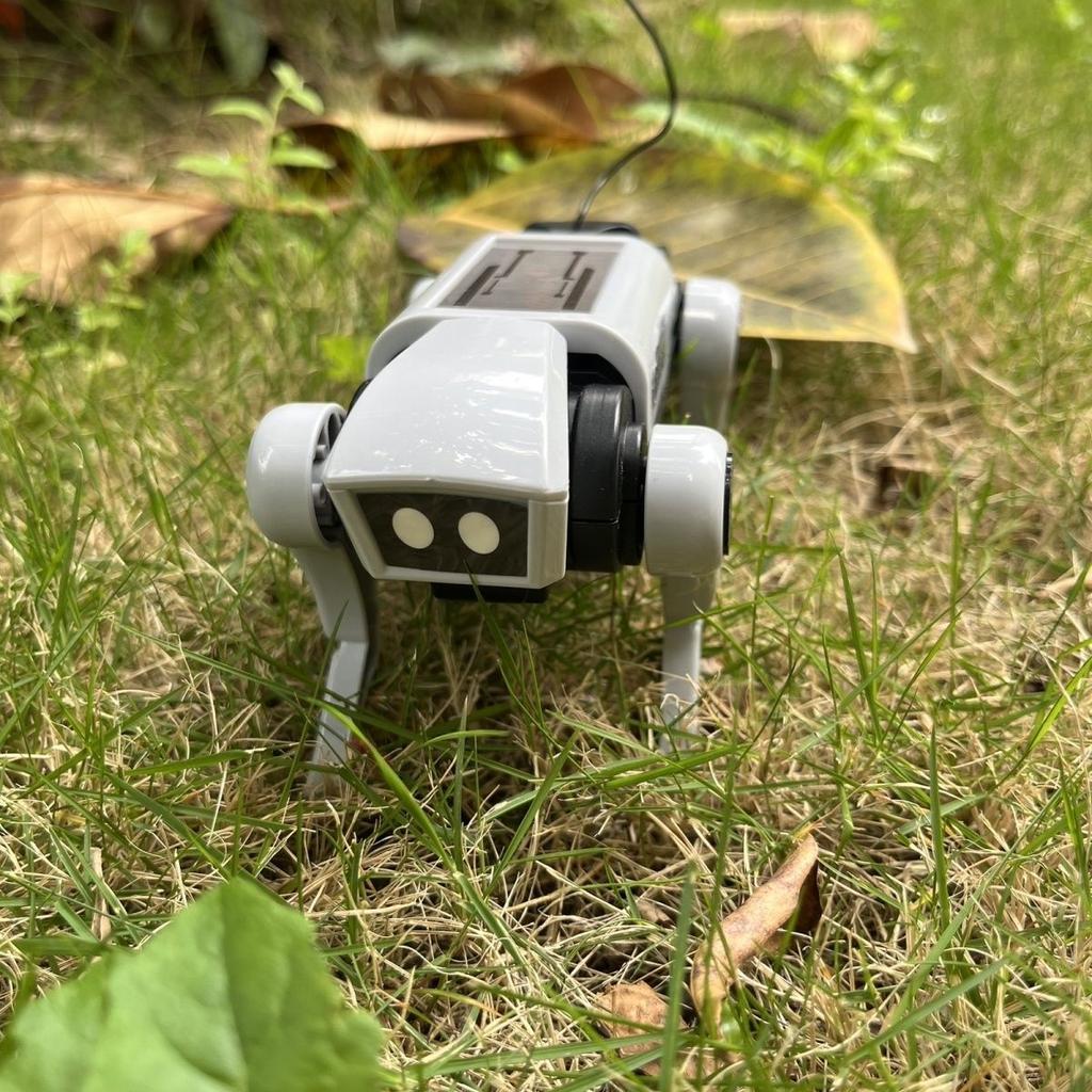 DIY assembly mechanical dog children's science and education experiment electric remote control walking robot educational toy