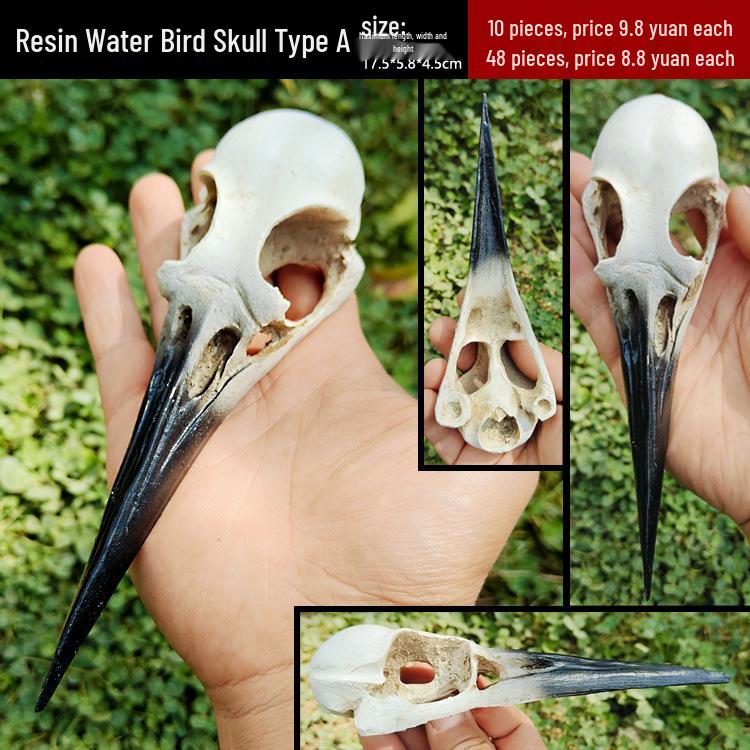 Akril Hüllőtenyésztő Doboz Dekoratív Koponyával