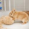 Bite Resistant Rabbit Soothing Ball Simulated Rabbit Buttocks Soft Pet Chewable Ball Comfortable Rabbit Venting Ball