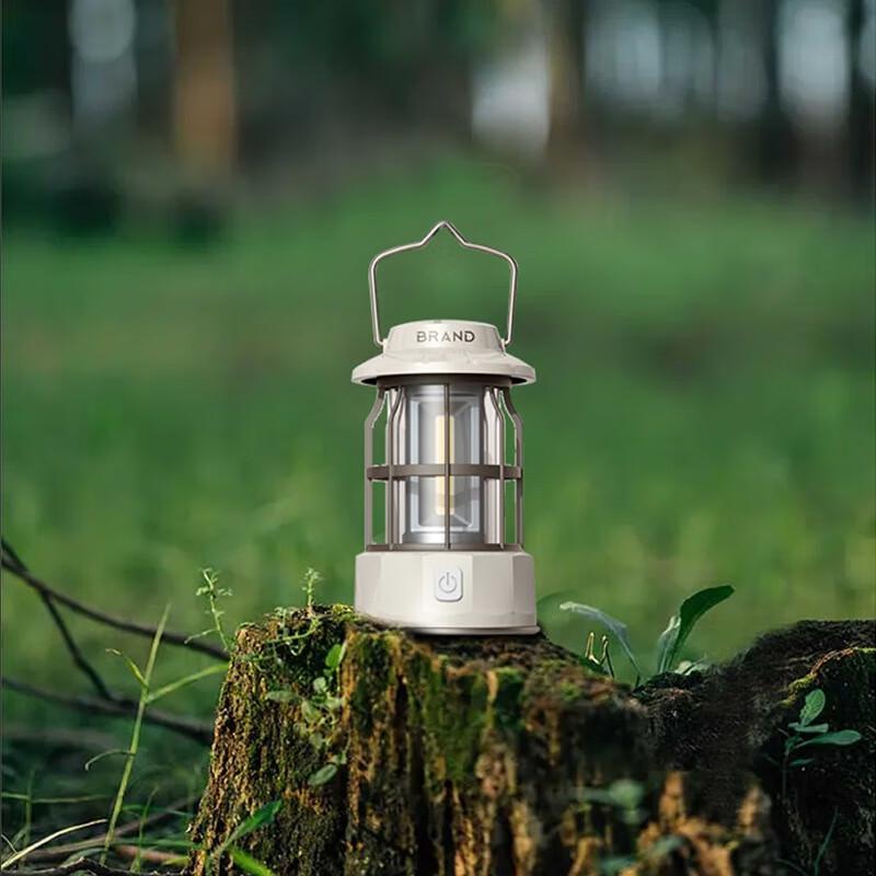 Vintage Portable Camping Lantern