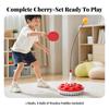 Solo Table Tennis Training Device Portable Freestanding Rebound