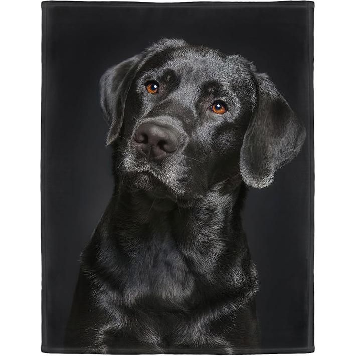 HommomH Black Lab Blanket, Gorgeous Labrador Dog Print, Soft Fluffy Fleece Throw 50"x60"