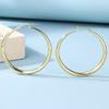 European and American exaggerated jewelry fashion alloy circle earrings niche geometric gold stud earrings women's earrings