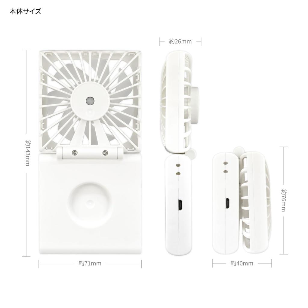 Gourmandies Disney Characters Cool Fan Mickey Mouse / Bi-fold DNG-254MK