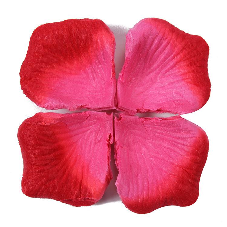 Romantische Rosenblattdekorationen für Hochzeiten, Heiratsanträge und Valentinstag