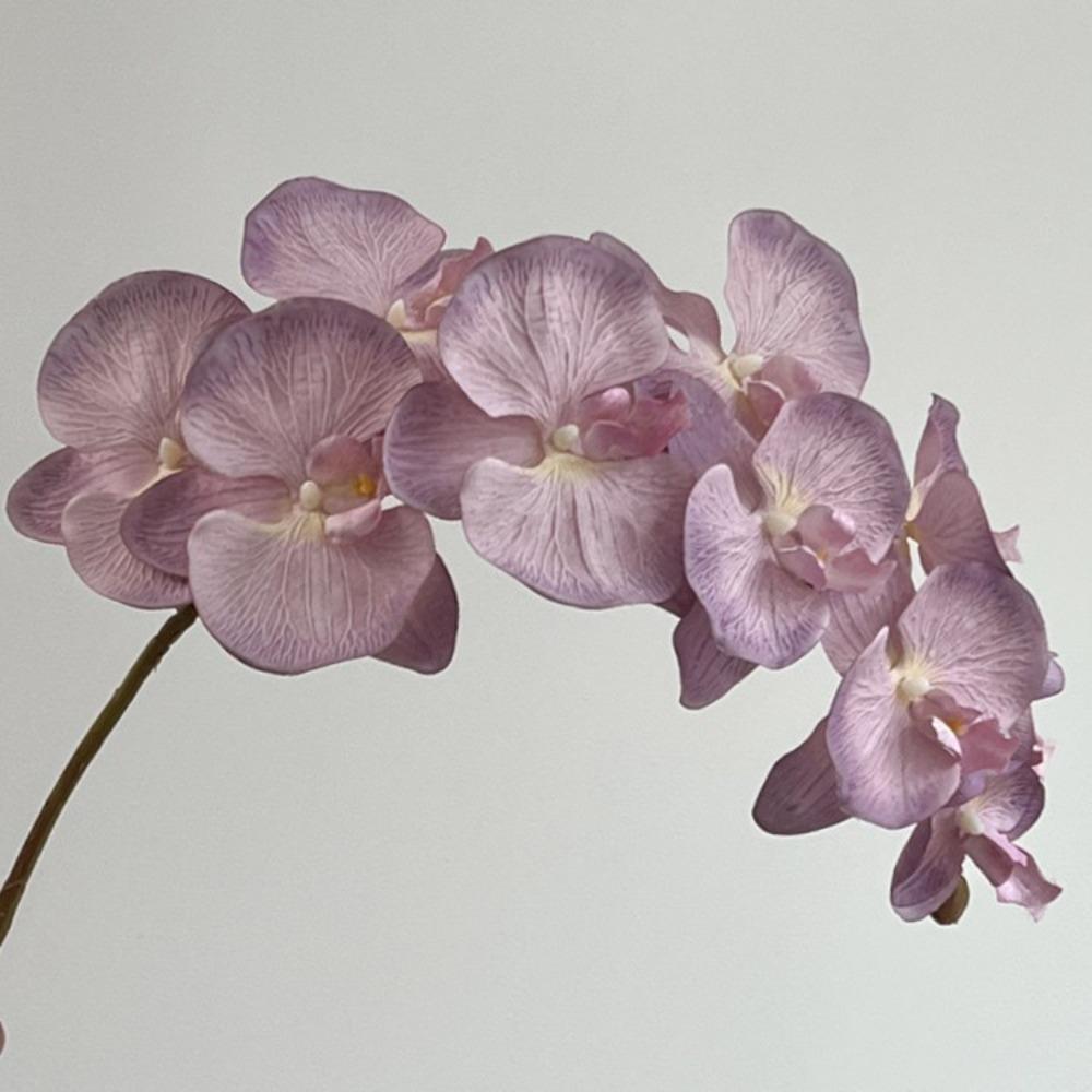 Orchidea Farfalla Artificiale Real Touch 10 Fiori Finti Phalaenopsis Decorazione per la Casa