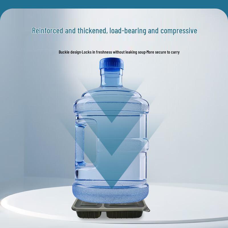 Xinpai Ke Disposable 4-Compartment Takeaway Food Container