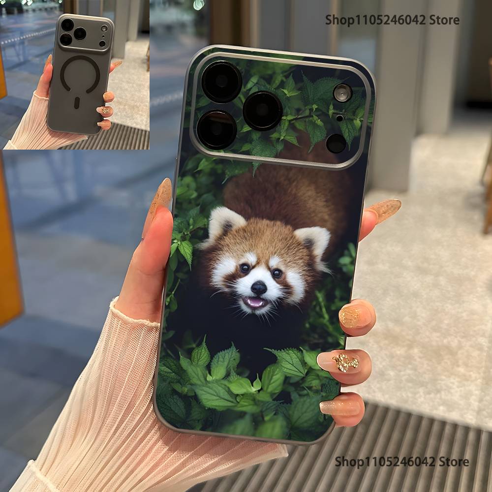 Cute Red panda Animal For iPhone 17,16,15,14,13,12,11,Pro,Max,Plus Magnetic Wireless Charging Transparent gray Phone Case iPhone15