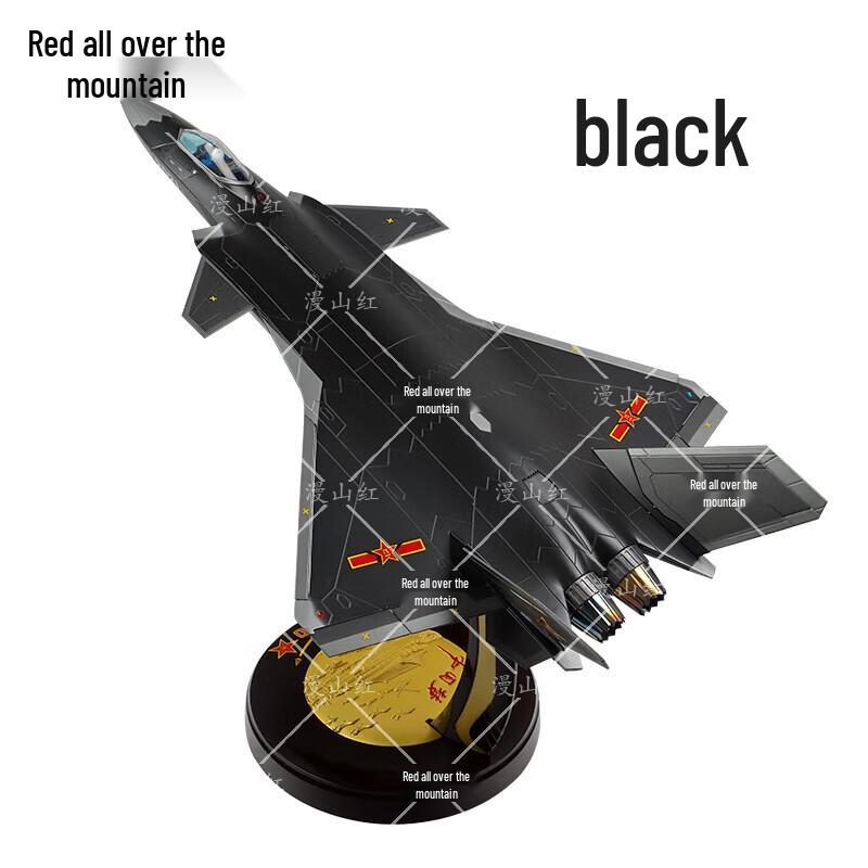 J-20 Stealth Fighter Diecast Model