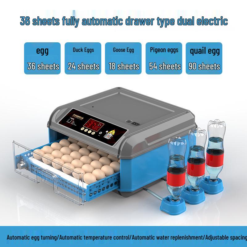 Luding Smart Automatic Egg Incubator for Small Eggs - Compact Household Model