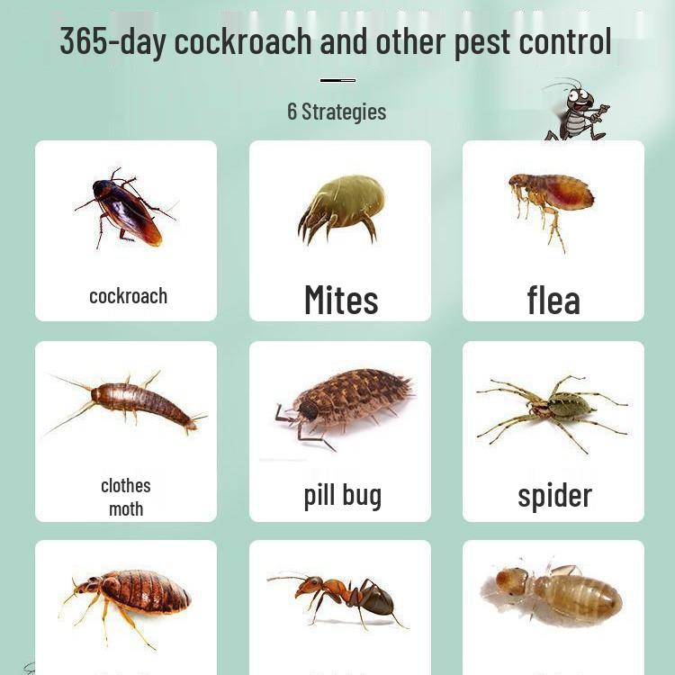 Floral Camphor Wardrobe Freshener & Insect Repellent: Mold, Moth, Mite, and Cockroach Protection Sheets and Balls