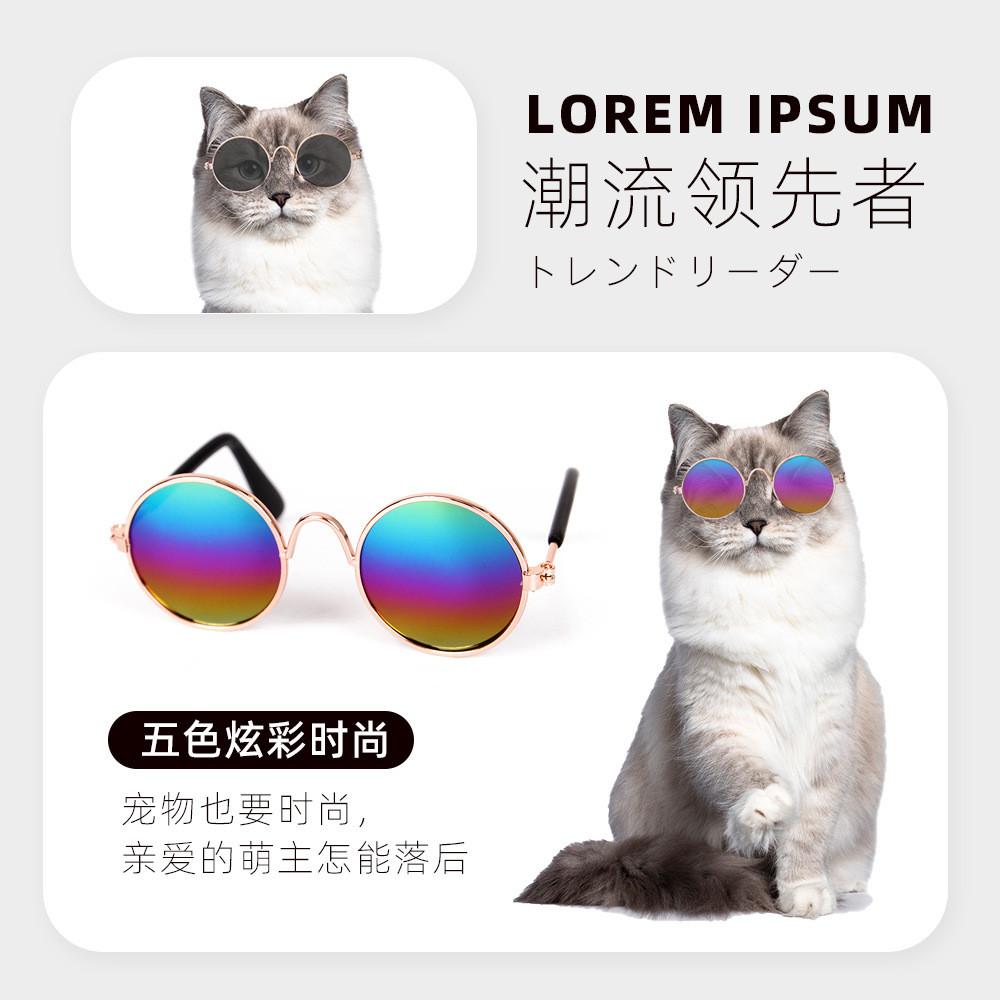 Cute And Stylish Pet Sunglasses Delightful Sunglasses For Pets Perfect For Halloween And Birthdays