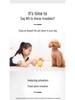 Adhesive Dog Pee Pads: Thick, Absorbent, Disposable, Deodorizing Diapers