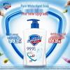 Safeguard Hand Wash