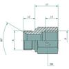 Straight Threaded Connection GA 3/8 MBSP X 3/8 FBSP =18 GRANITE
