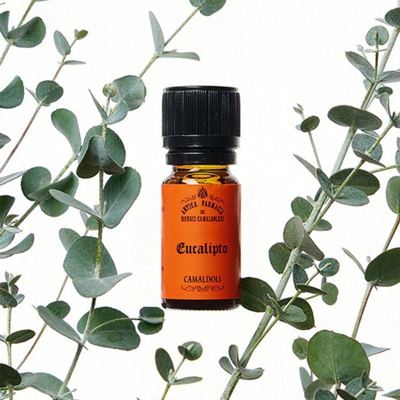 

camaldoli eucalypto (eucalyptus essential oil) 10ml 10ml
