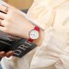 Women's Simple Vintage Watches for Women Dial Wristwatch Leather Strap High Quality Ladies Casual Bracelet Watches