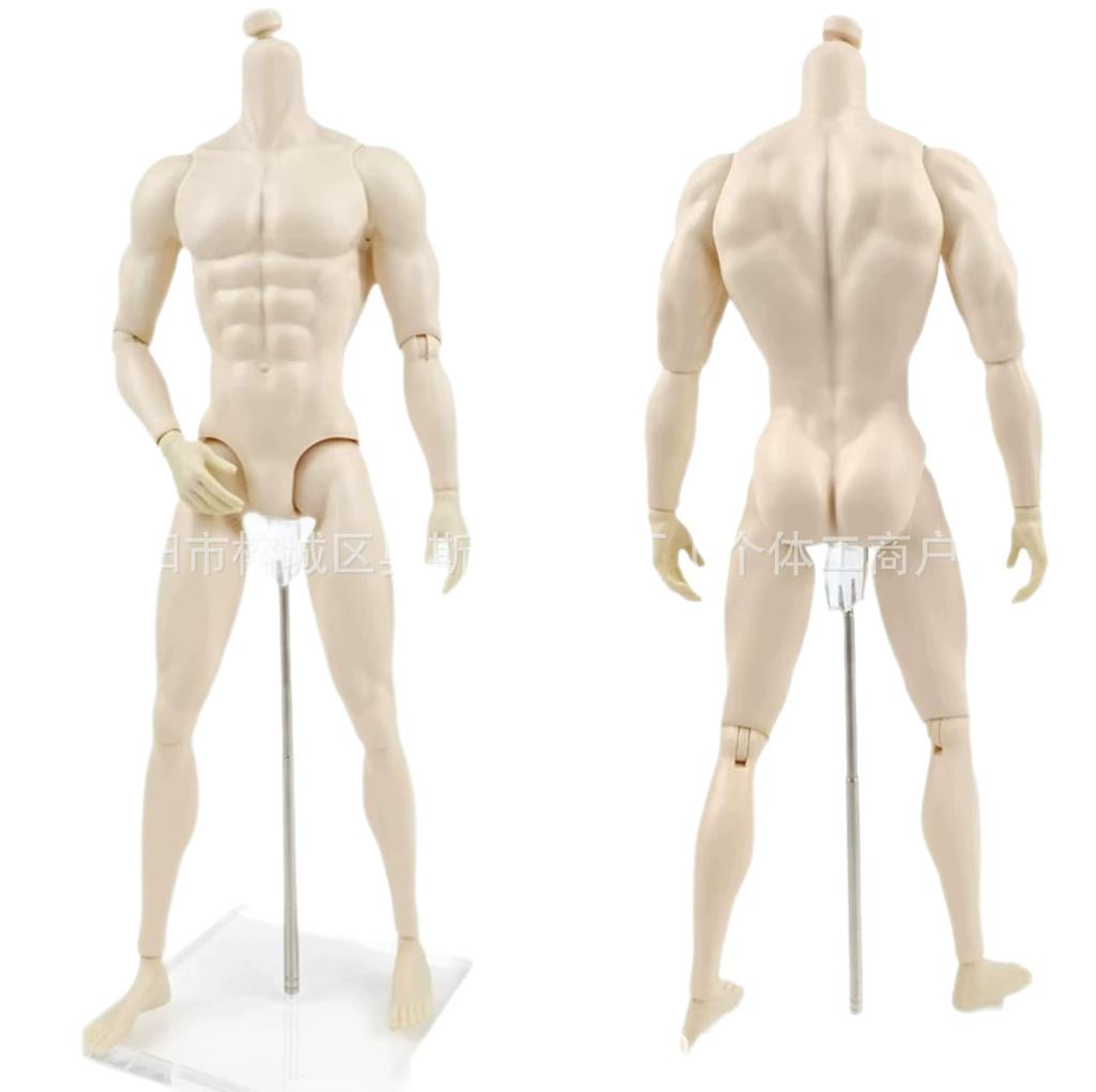 30cm Male Sketch Doll's Movable Kun Body for 1/6 FR Doll With Normal Skin Doll Toys Anime Figure Accessories Draw Mannequin