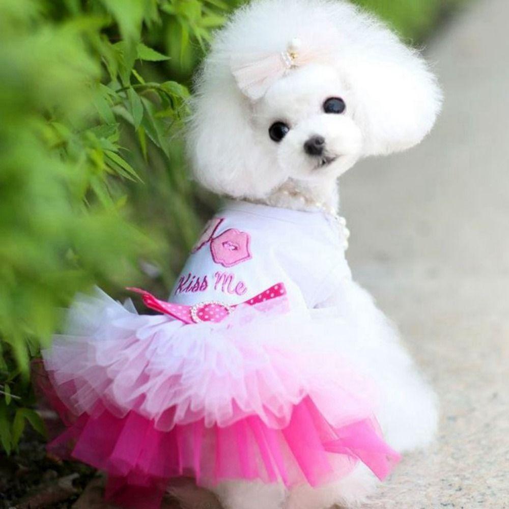 Cartoon Pet  Princess Dress Breathable Pet Skirt Creative Sweet Dog Skirt  Small Dogs