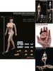 1/12 Scale Female Seamless Body With Super Flexible Articulation For Creative Play